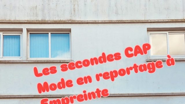   CAP2MMVF: une belle aventure pédagogique autour de la découverte du monde professionnel !