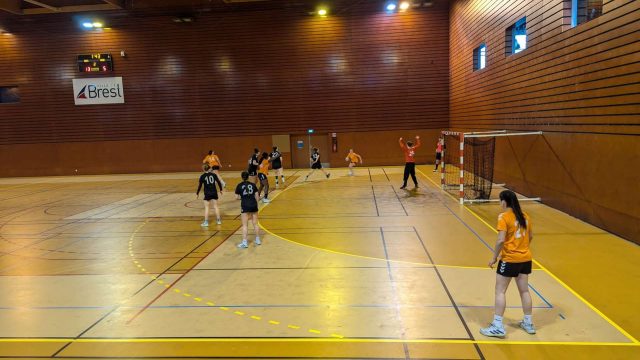 Nos handballeuses de Lesven à nouveau championnes académiques excellence !