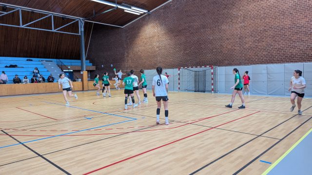 Les handballeuses finissent 3ème de la finale académique UNSS Les handballeuses finissent 3ème de la finale académique UNSS