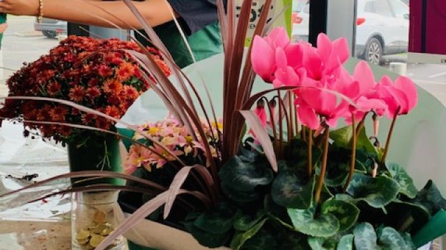 Les Terminales MCV et Accueil à Magasin Vert Les Terminales MCV et Accueil à Magasin Vert