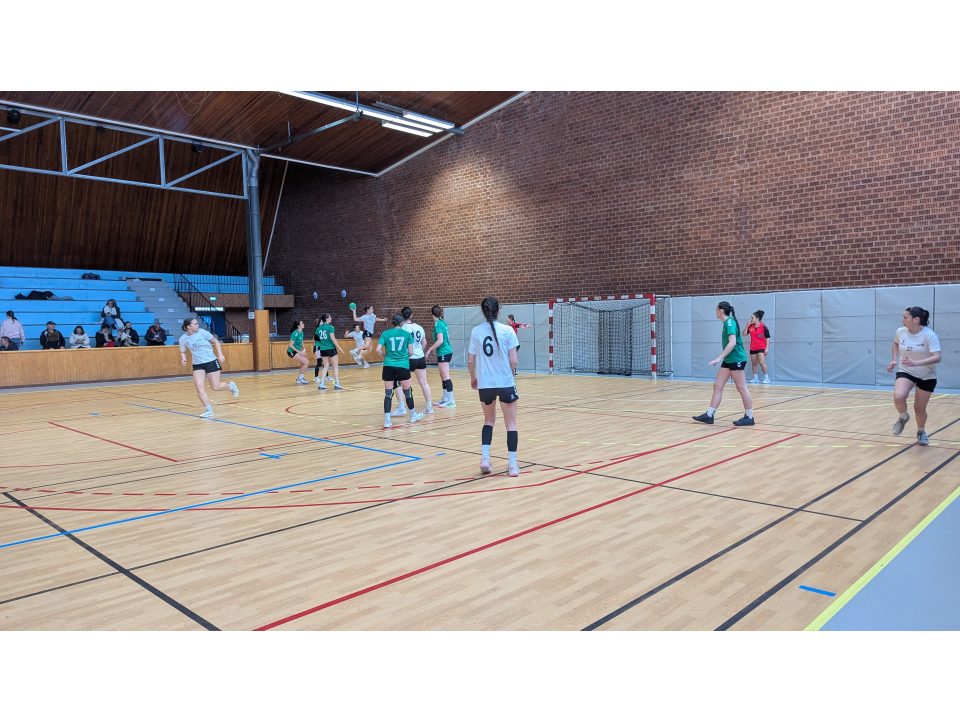 Les handballeuses finissent 3ème de la finale académique UNSS 