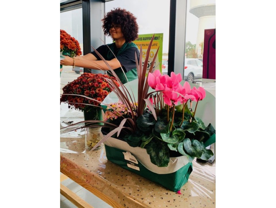 Les Terminales MCV et Accueil à Magasin Vert